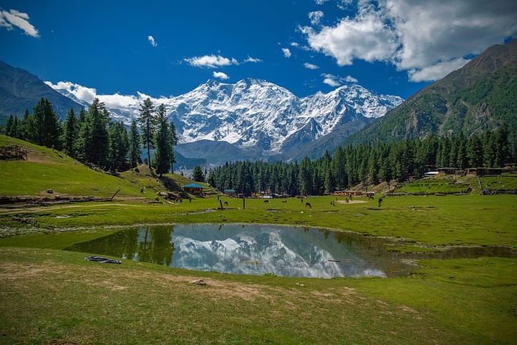 Srinagar - Gulmarg